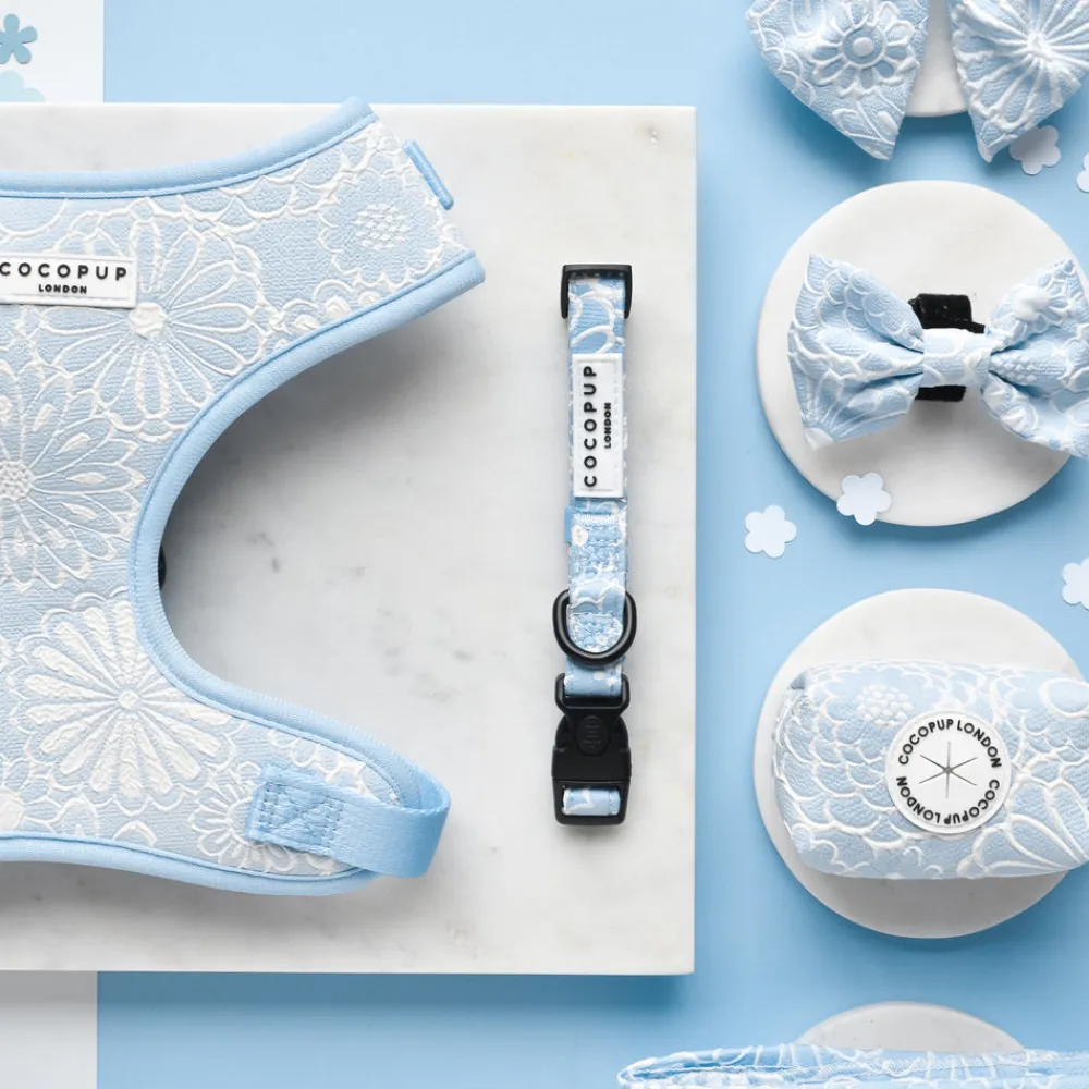 Cocopup Collars | Puppy Leads & Collars-Luxe COLLAR - Baby Blue Flower