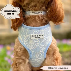 Cocopup Collars | Puppy Leads & Collars-Luxe COLLAR - Baby Blue Flower