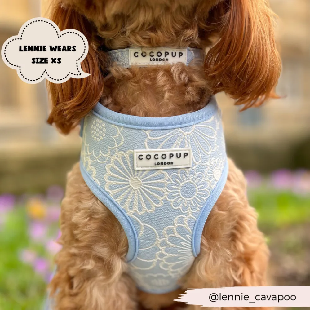 Cocopup Collars | Puppy Leads & Collars-Luxe COLLAR - Baby Blue Flower