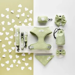 Cocopup Collars | Puppy Leads & Collars-Luxe COLLAR - Sage Heart