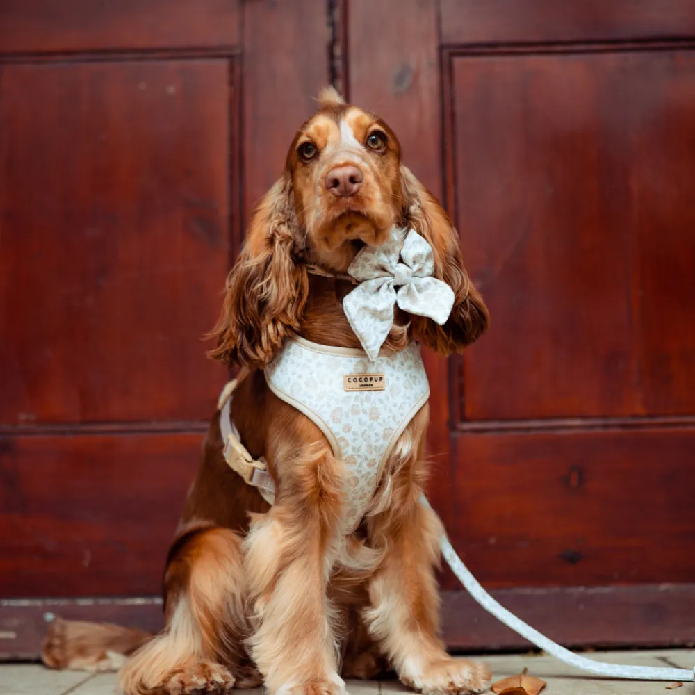 Cocopup Adjustable Harness Bundles-Luxe Garden Meadow Adjustable Neck Harness, Lead & Collar Bundle