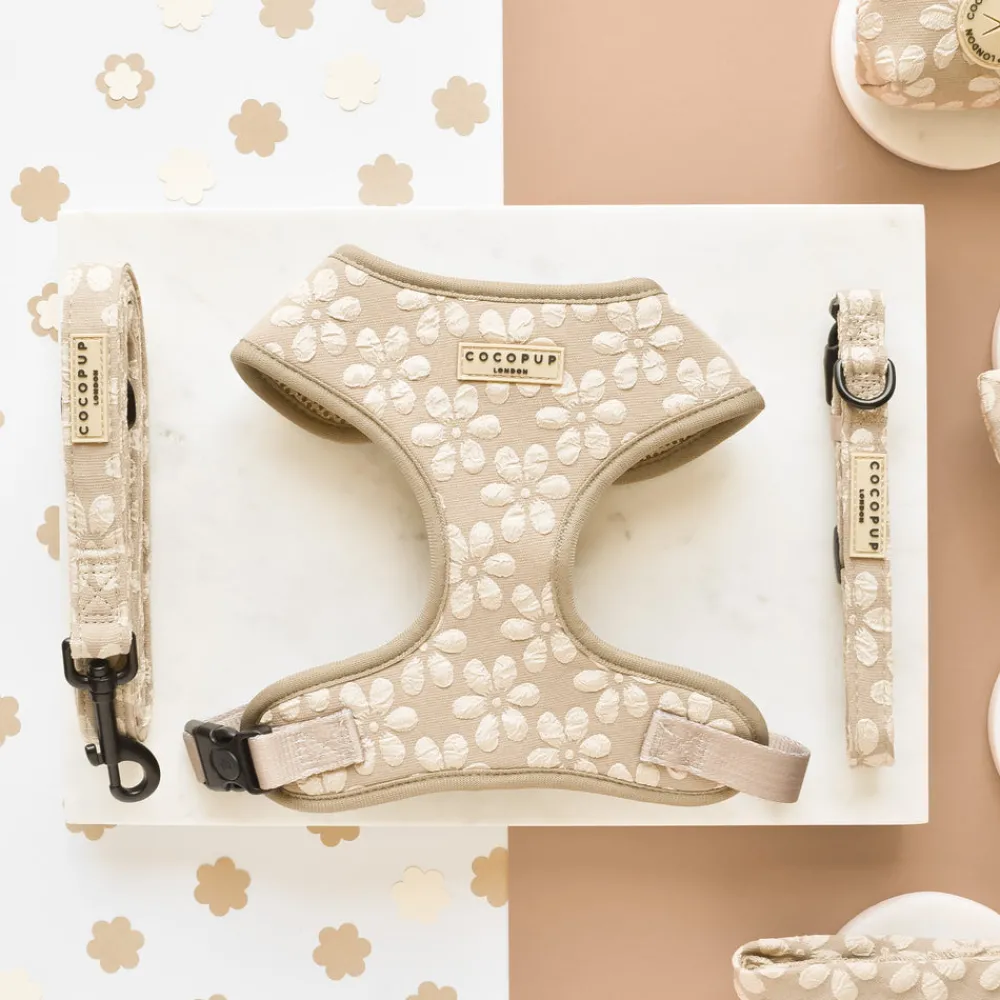 Cocopup Adjustable Harness Bundles-Luxe Mocha Flower Adjustable Neck Harness, Lead & Collar Bundle