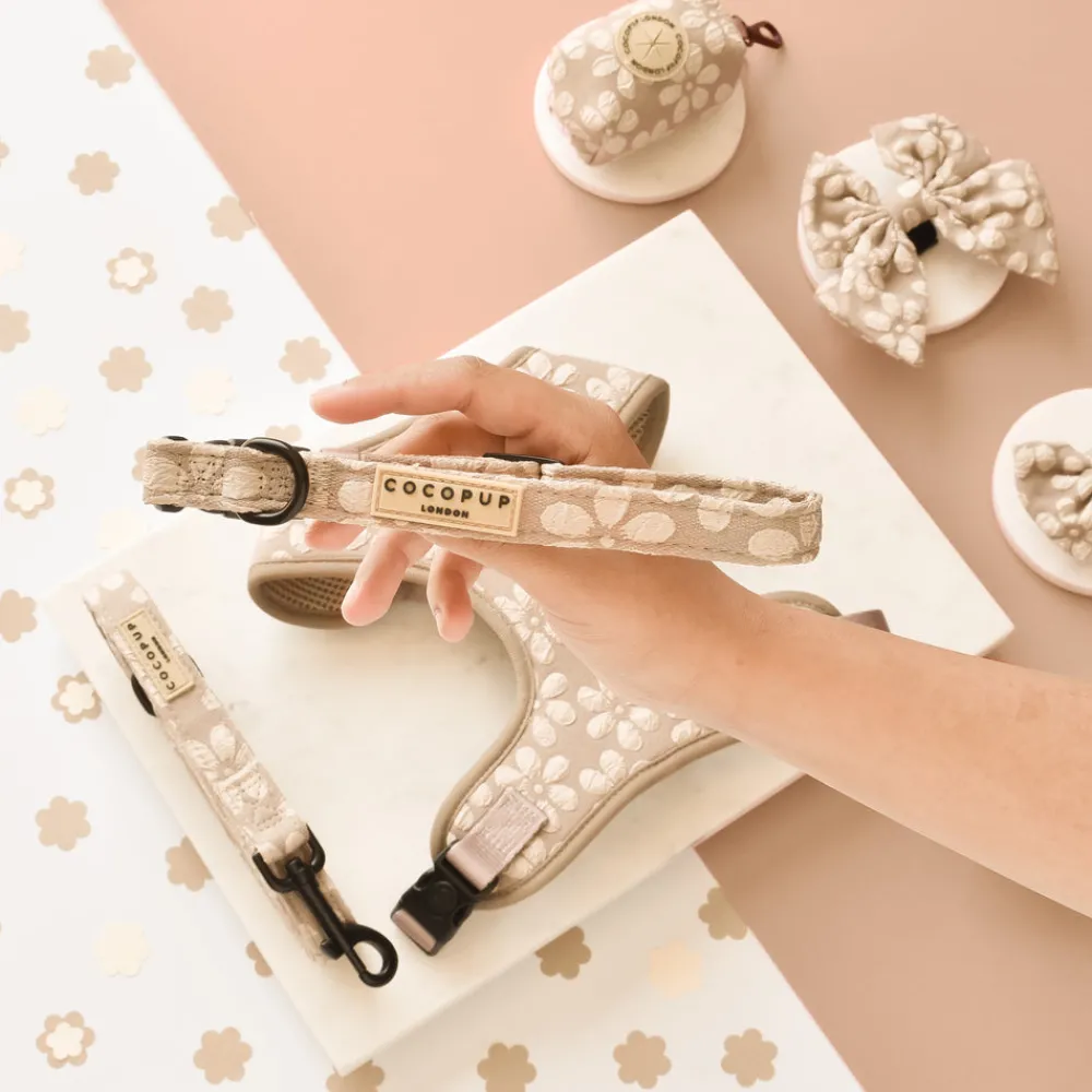 Cocopup Adjustable Harness Bundles-Luxe Mocha Flower Adjustable Neck Harness, Lead & Collar Bundle