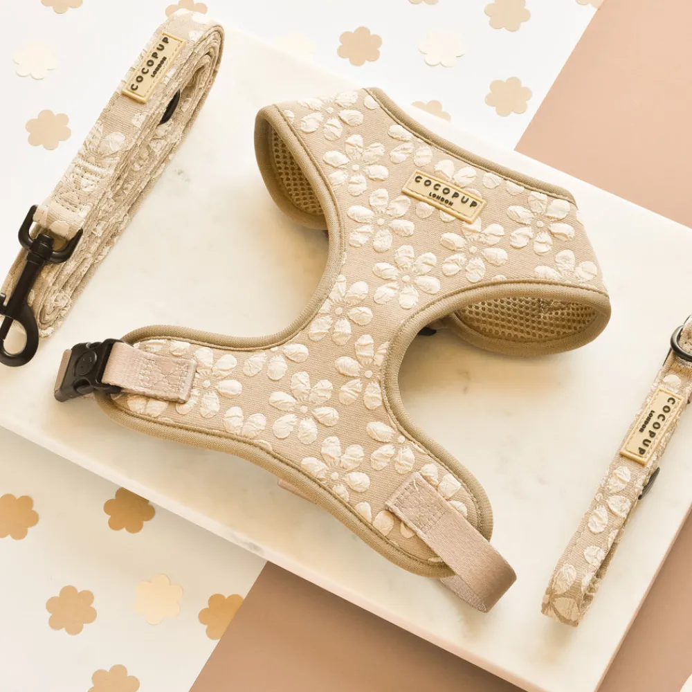 Cocopup Adjustable Harness Bundles-Luxe Mocha Flower Adjustable Neck Harness, Lead & Collar Bundle