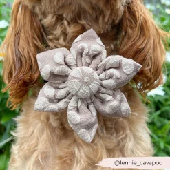 Cocopup Collar Flowers | Collar Flowers-LUXE Mocha Flower Collar Flower