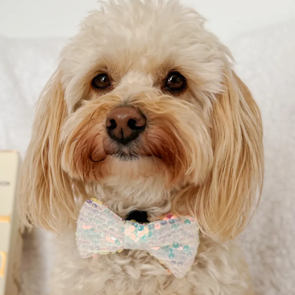 Cocopup Bow Ties-LUXE Party Holographic Sequin Bow Tie