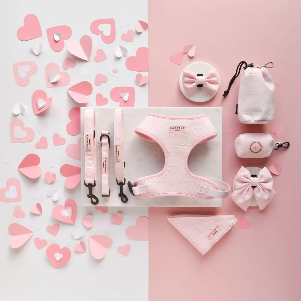 Cocopup Poop Bag Holders | Poop Bag Holders-Luxe Poop Bag Holder - Baby Pink Heart