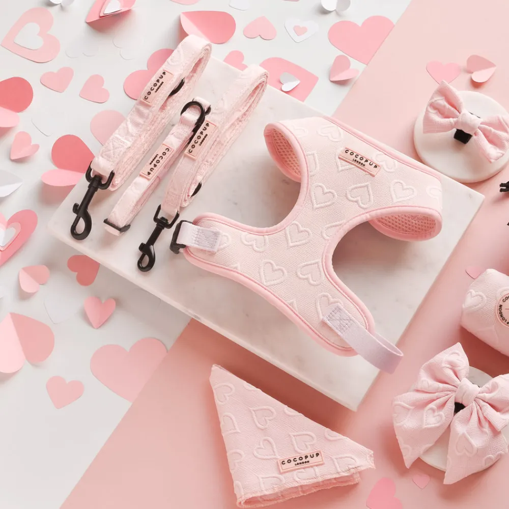 Cocopup Leads | Puppy Leads & Collars-Luxe Puppy Lead - Baby Pink Heart