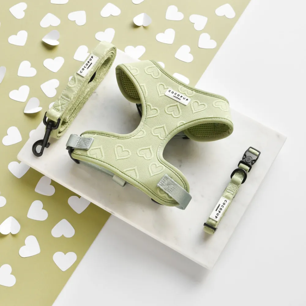 Cocopup Adjustable Harness Bundles-Luxe Sage Heart Adjustable Neck Harness, Lead & Collar Bundle