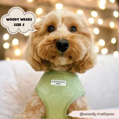 Cocopup Adjustable Harness Bundles-Luxe Sage Heart Adjustable Neck Harness, Lead & Collar Bundle