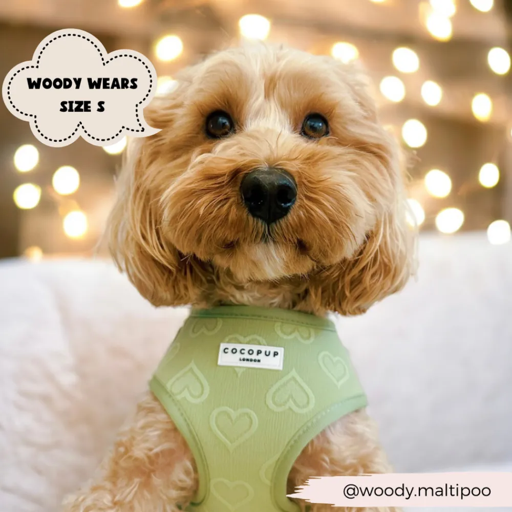 Cocopup Adjustable Harness Bundles-Luxe Sage Heart Adjustable Neck Harness, Lead & Collar Bundle