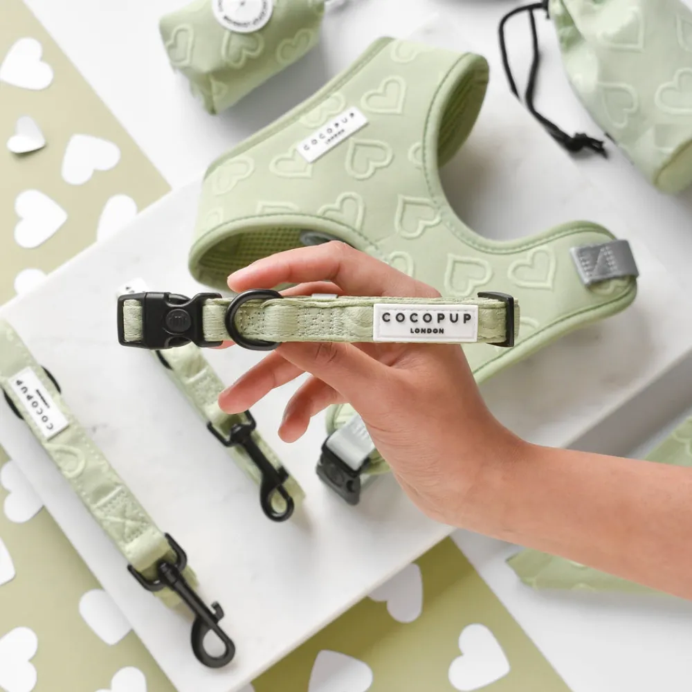 Cocopup Adjustable Harness Bundles-Luxe Sage Heart Adjustable Neck Harness, Lead & Collar Bundle