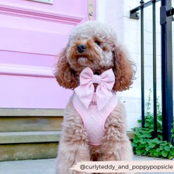 Cocopup Sailor Bow Ties-Luxe Sailor Bow Tie - Baby Pink Heart