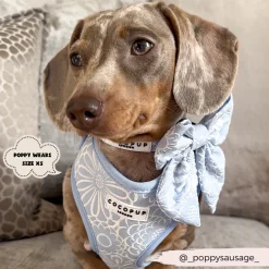 Cocopup Sailor Bow Ties-Luxe Sailor Bow Tie - Baby Blue Flower