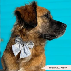 Cocopup Sailor Bow Ties-Luxe Sailor Bow Tie - Baby Blue Flower