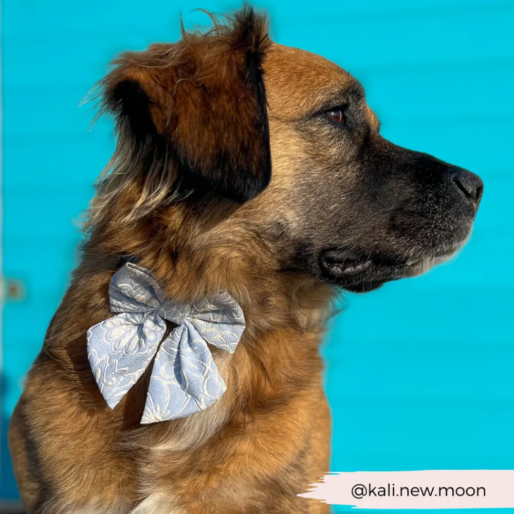 Cocopup Sailor Bow Ties-Luxe Sailor Bow Tie - Baby Blue Flower