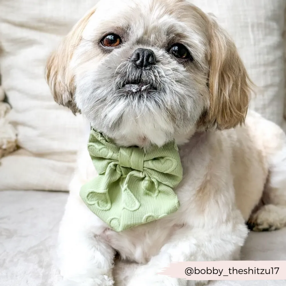 Cocopup Sailor Bow Ties-Luxe Sailor Bow Tie - Sage Heart