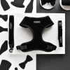 Cocopup Adjustable Harness Bundles-Luxe Velvet Adjustable Neck Harness, Lead & Collar Bundle - Noir