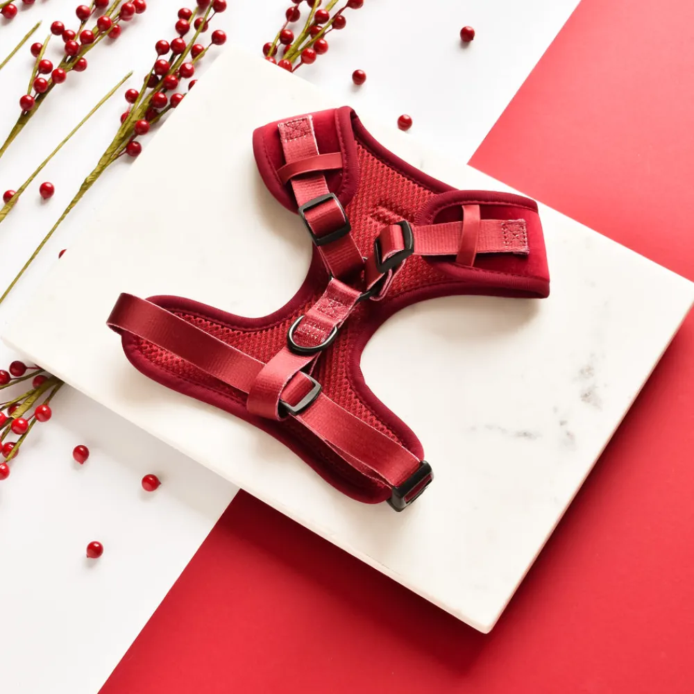 Cocopup Adjustable Neck Harnesses-LUXE Velvet Adjustable Neck HARNESS - Berry Red