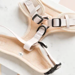 Cocopup Adjustable Neck Harnesses | Special Occassion Harnesses ✨-Luxe Velvet Adjustable Neck HARNESS - Champagne