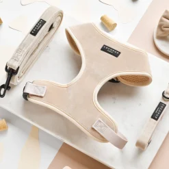 Cocopup Adjustable Harness Bundles | Special Occassion Harnesses ✨-Luxe Velvet Adjustable Neck Harness, Lead & Collar Bundle - Champagne