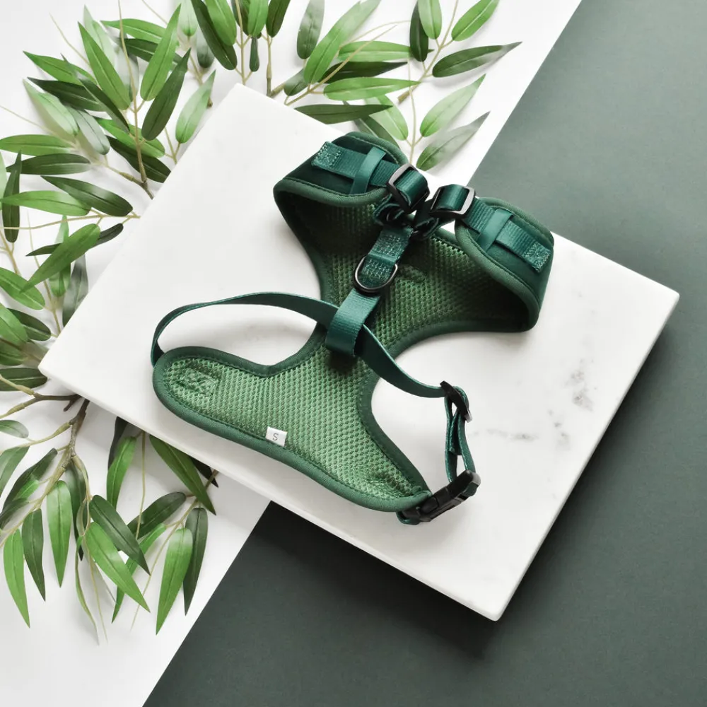 Cocopup Adjustable Neck Harnesses-LUXE Velvet Adjustable Neck HARNESS - Forest Green