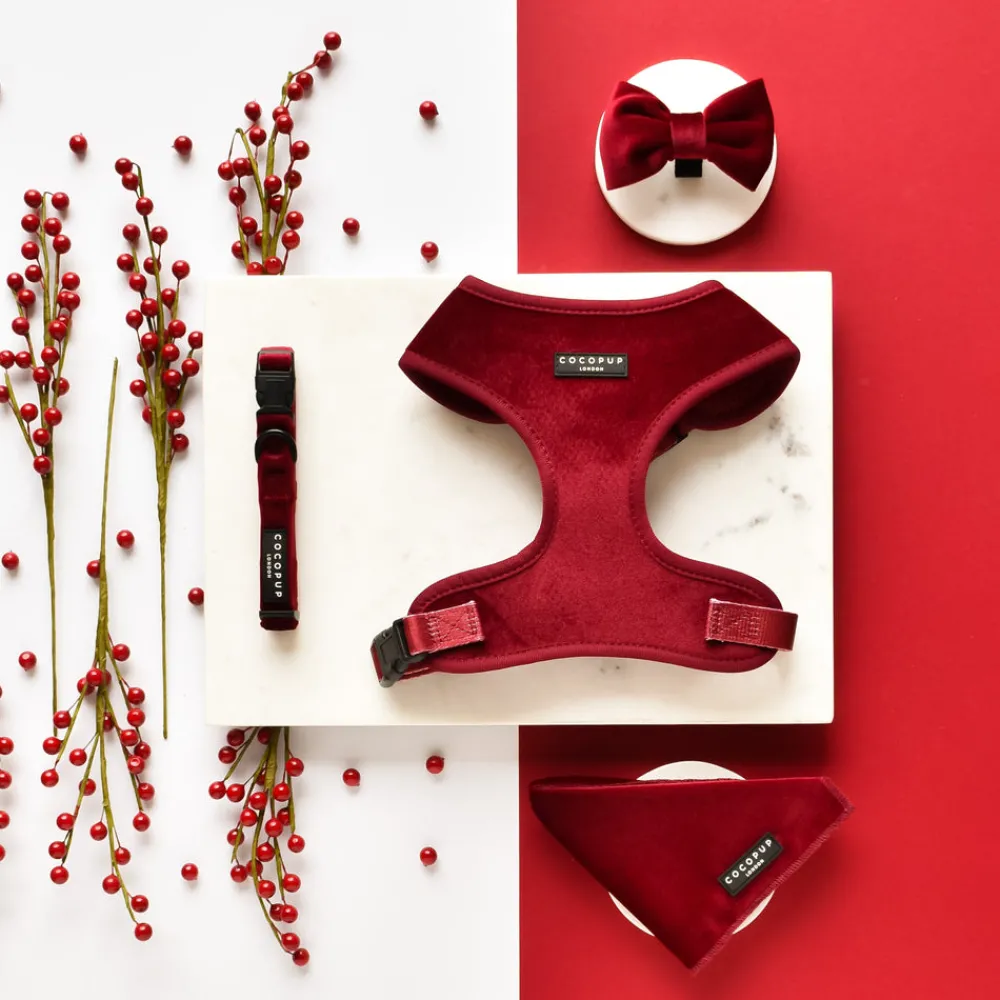 Cocopup Adjustable Neck Harnesses-LUXE Velvet Adjustable Neck HARNESS - Berry Red