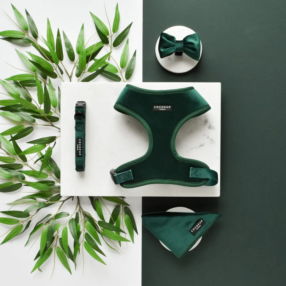 Cocopup Adjustable Neck Harnesses-LUXE Velvet Adjustable Neck HARNESS - Forest Green