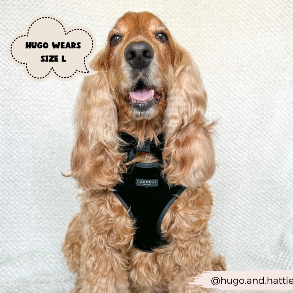 Cocopup Adjustable Neck Harnesses-Luxe Velvet Adjustable Neck HARNESS - Noir
