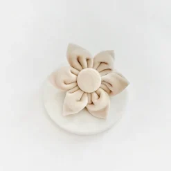 Cocopup Collar Flowers-LUXE Velvet Champagne Collar Flower