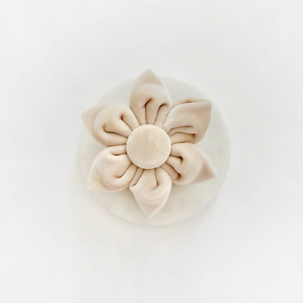 Cocopup Collar Flowers-LUXE Velvet Champagne Collar Flower