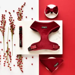 Cocopup Collars | Puppy Leads & Collars-LUXE Velvet COLLAR - Berry Red