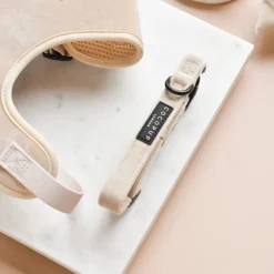 Cocopup Collars | Puppy Leads & Collars-LUXE Velvet COLLAR - Champagne