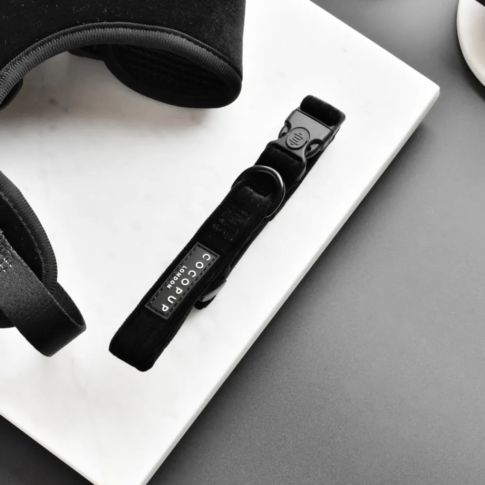 Cocopup Collars-Luxe Velvet COLLAR - Noir