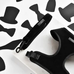 Cocopup Leads-Luxe Velvet Lead - Noir