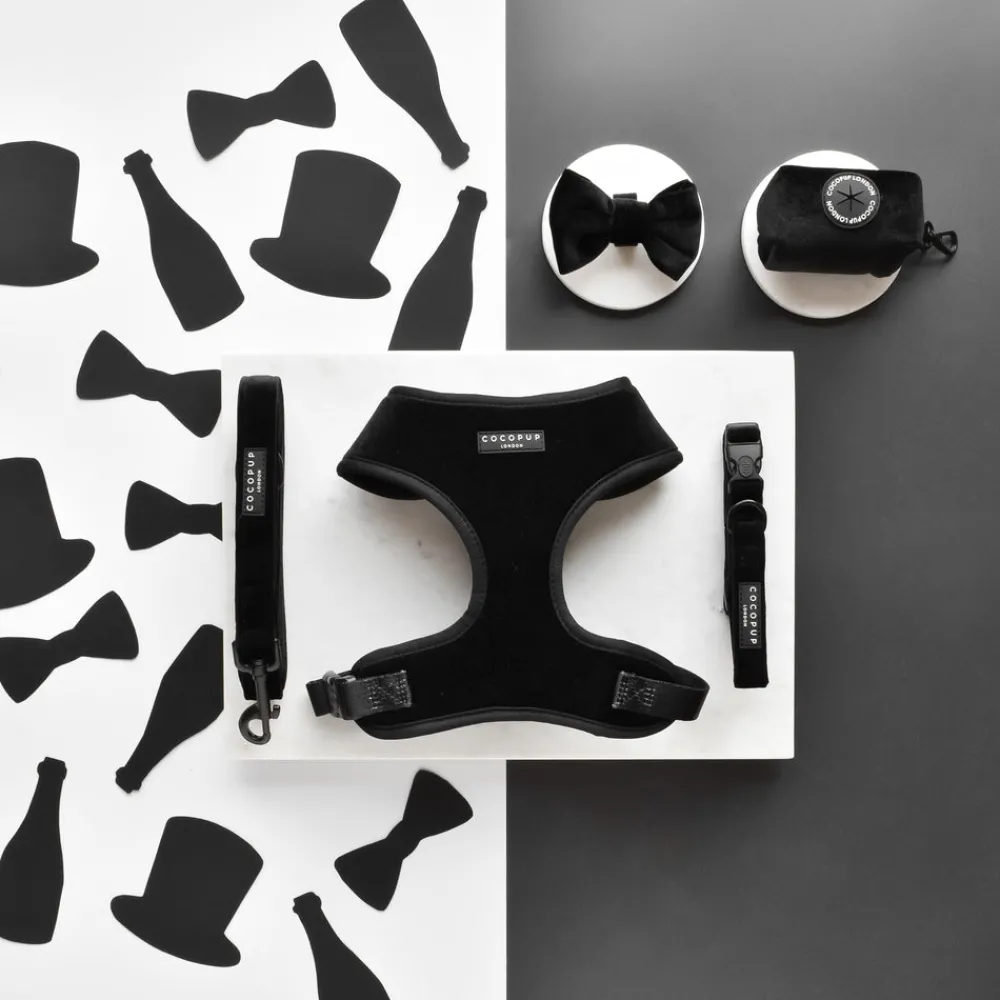 Cocopup Leads-Luxe Velvet Lead - Noir