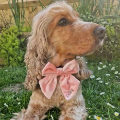 Cocopup Personalised Sailor Bow Ties ð | Sailor Bow Ties-Luxe Velvet Sailor Bow Tie - Baby Pink