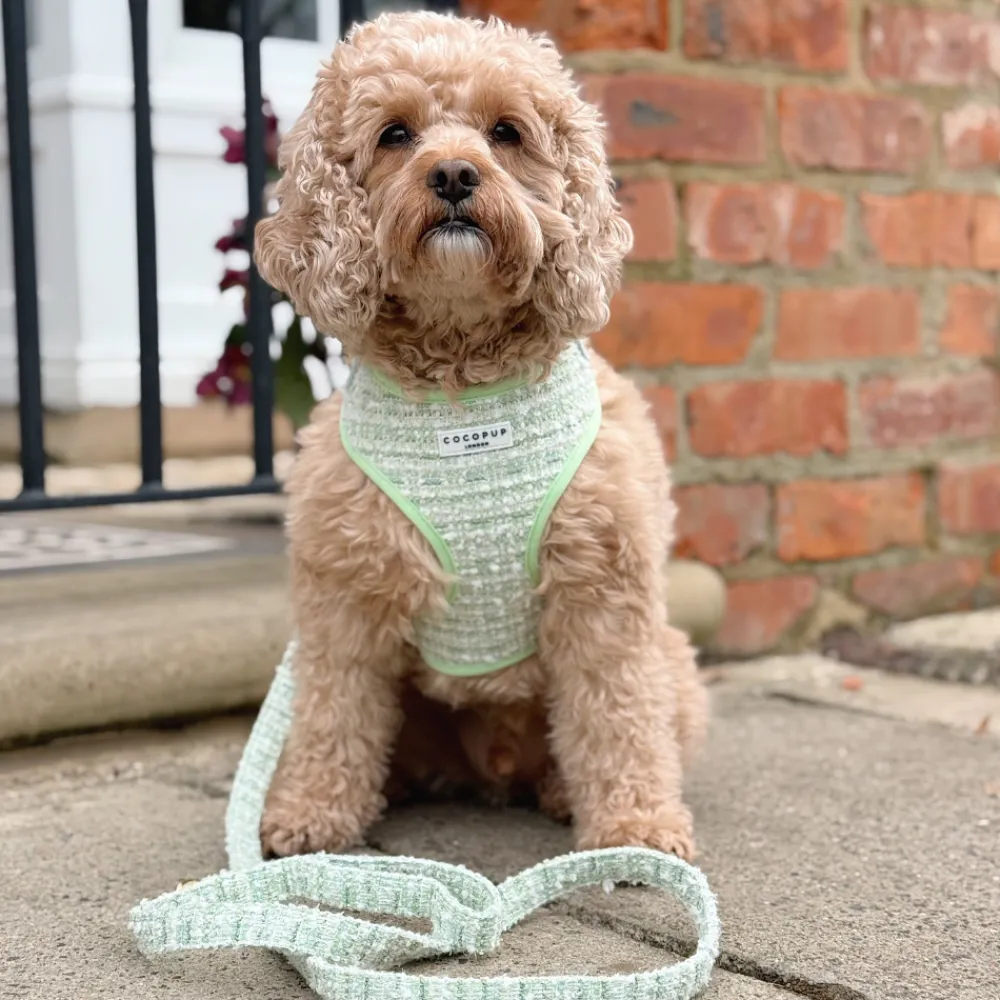 Cocopup Adjustable Neck Harnesses | Special Occassion Harnesses ✨-Matcha Textured Tweed Adjustable Neck HARNESS