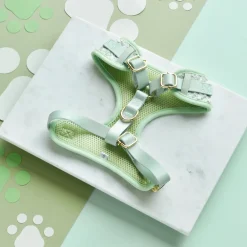 Cocopup Adjustable Harness Bundles | Special Occassion Harnesses ✨-Matcha Textured Tweed Adjustable Neck Harness, Lead & Collar Bundle
