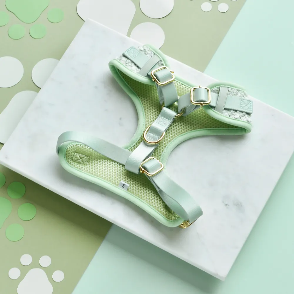 Cocopup Adjustable Harness Bundles | Special Occassion Harnesses ✨-Matcha Textured Tweed Adjustable Neck Harness, Lead & Collar Bundle