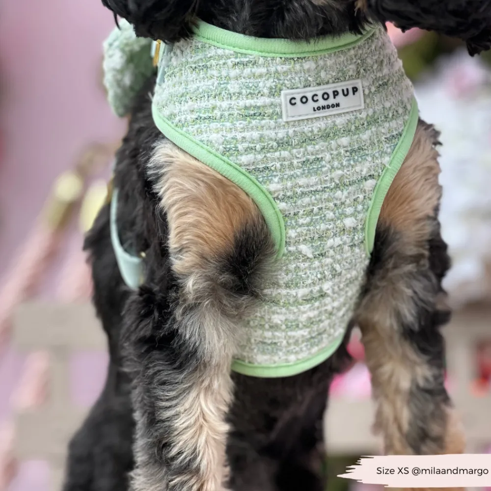 Cocopup Adjustable Harness Bundles | Special Occassion Harnesses ✨-Matcha Textured Tweed Adjustable Neck Harness, Lead & Collar Bundle