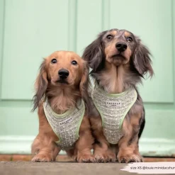 Cocopup Adjustable Harness Bundles | Special Occassion Harnesses ✨-Matcha Textured Tweed Adjustable Neck Harness, Lead & Collar Bundle