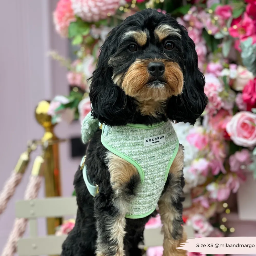 Cocopup Adjustable Neck Harnesses | Special Occassion Harnesses ✨-Matcha Textured Tweed Adjustable Neck HARNESS