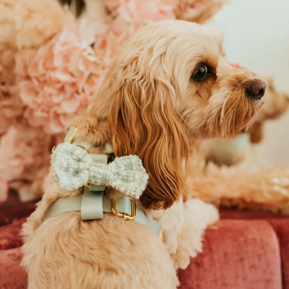 Cocopup Bow Ties-Matcha Textured Tweed Bow Tie