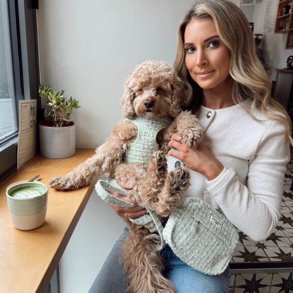 Cocopup Classic Bag Bundles-Matcha Textured Tweed Dog Walking Bag Bundle - Matcha Textured Tweed
