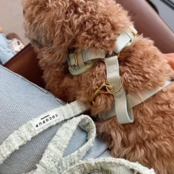Cocopup Leads-Matcha Textured Tweed Lead
