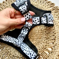 Cocopup Adjustable Neck Harnesses-Monochrome Spots Adjustable Neck HARNESS