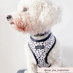 Cocopup Adjustable Harness Bundles-Monochrome Spots Adjustable Neck Harness, Lead & Collar Bundle