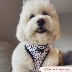 Cocopup Adjustable Neck Harnesses-Monochrome Spots Adjustable Neck HARNESS
