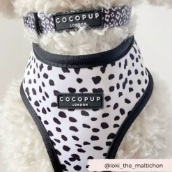 Cocopup Adjustable Harness Bundles-Monochrome Spots Adjustable Neck Harness, Lead & Collar Bundle